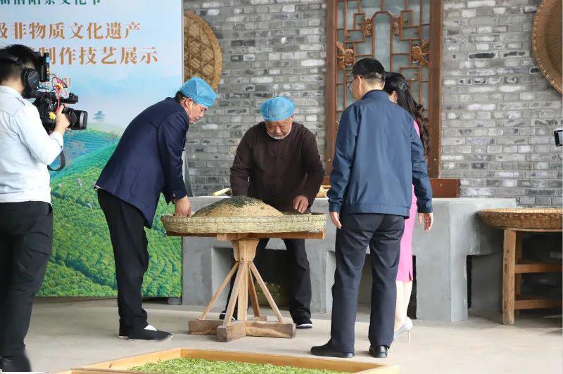 Xinyang Maojian Tea Making Technique