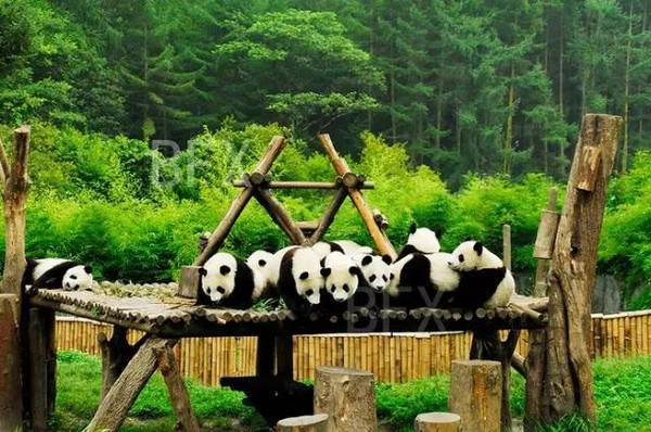 Sichuan Giant Panda Sanctuaries (partly in Garzê)